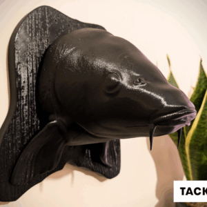 Wall Mountable Fish Heads